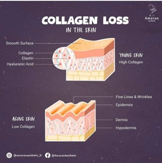 Intrinsic and extrinsic skin aging