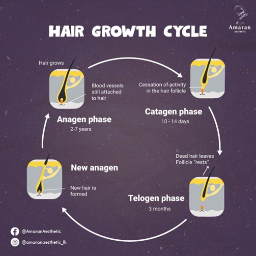 Causes of Hair Loss