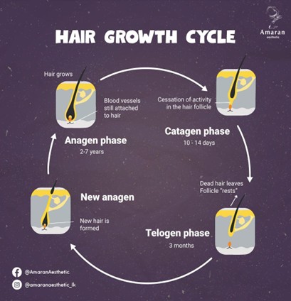 Hair Growth
